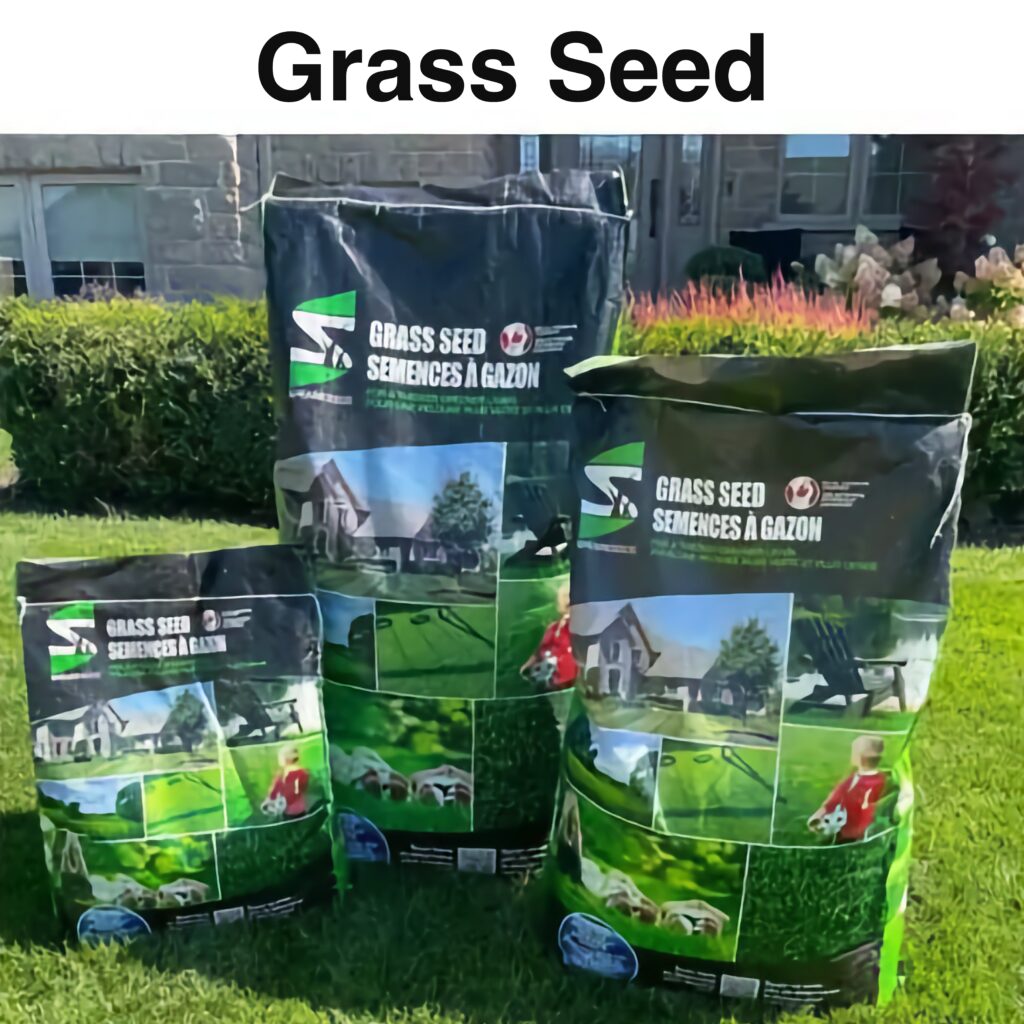 Grass seed 1080x1080