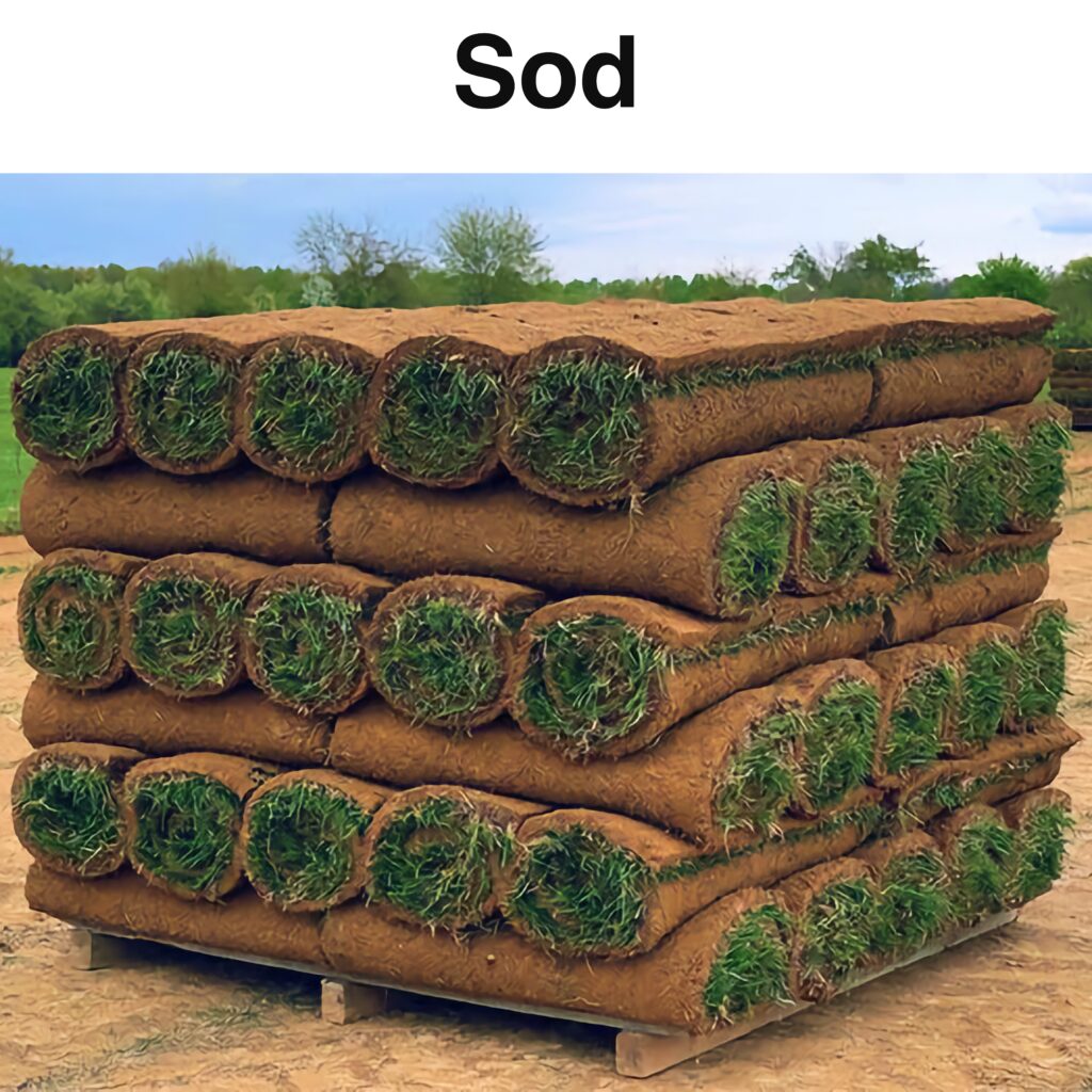 Sod
